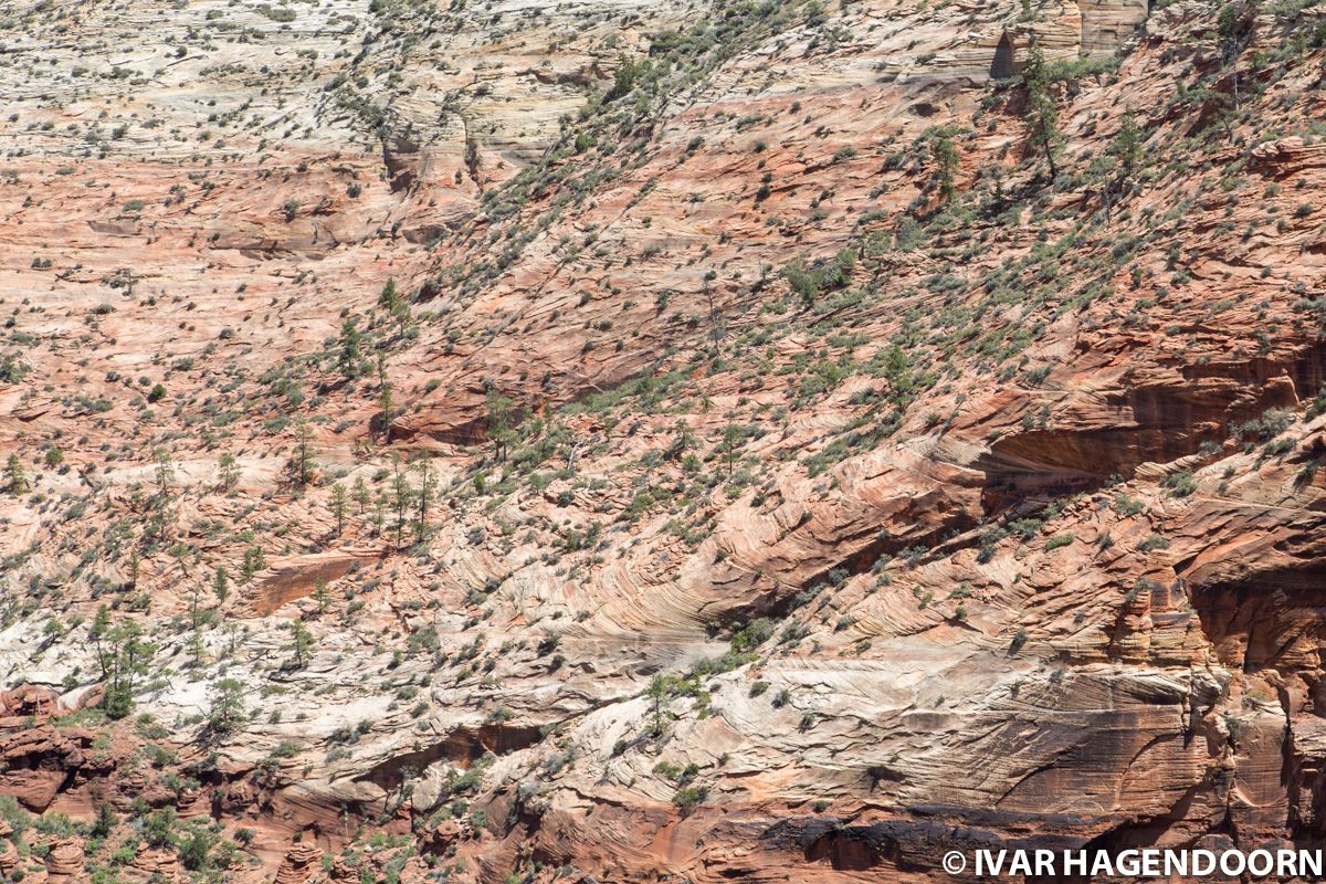 Zion National Park