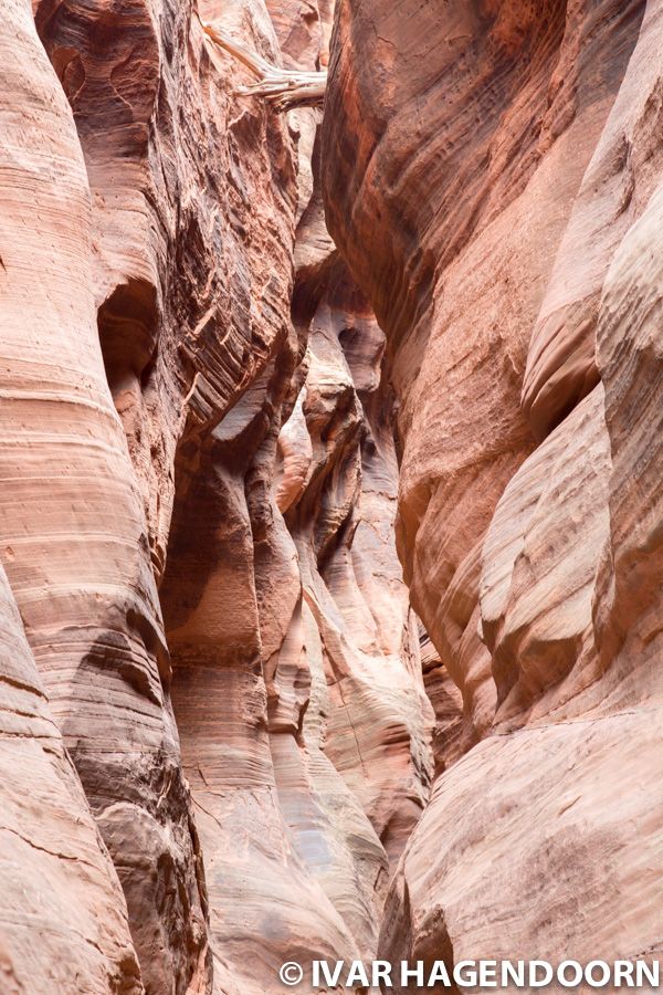 Buckskin Gulch