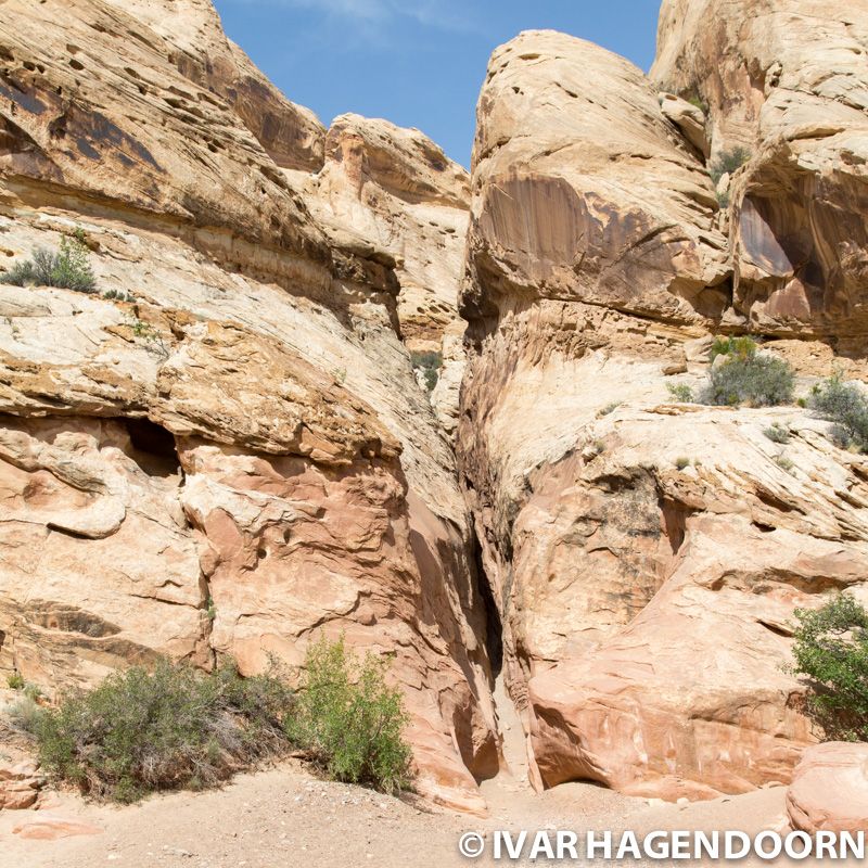 Little Wild Horse Canyon