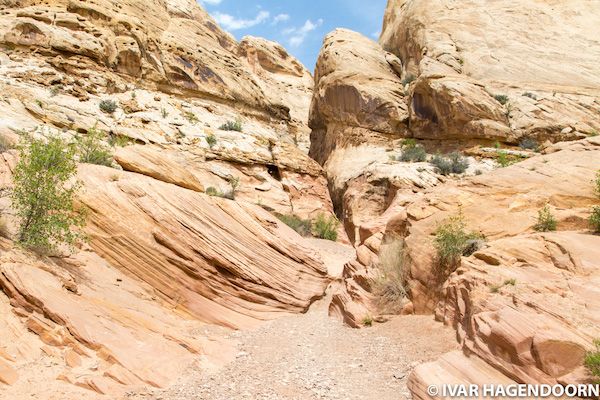 Little Wild Horse Canyon