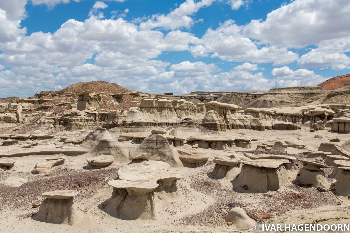 Bisti Badlands