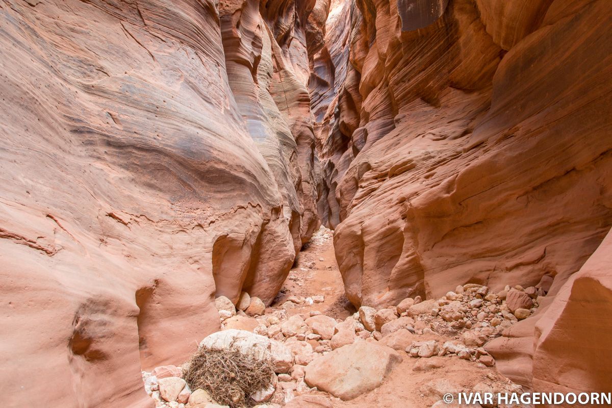 Buckskin Gulch