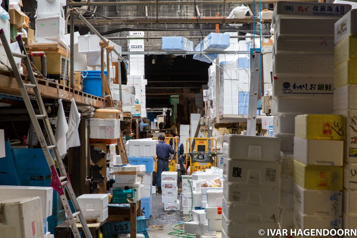 Tsukiji Fish Market