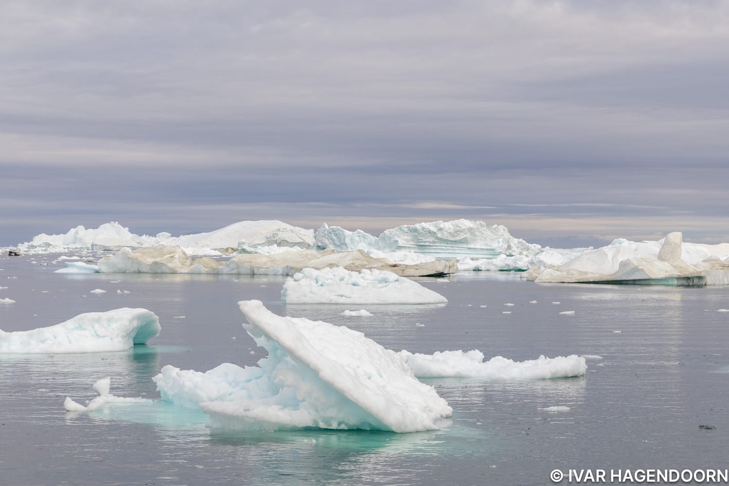 Disko Bay