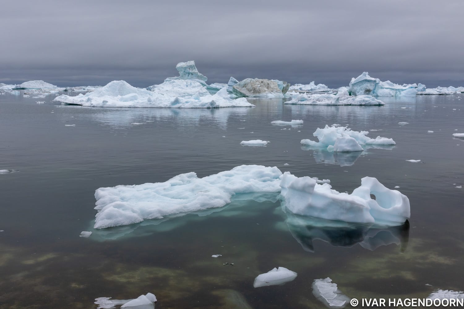 Ilulissat icefjord